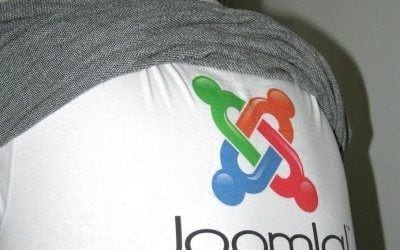 10 reasons why your business needs a Joomla web design