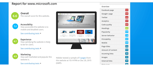 Nibbler Screenshot showing Microsoft.com